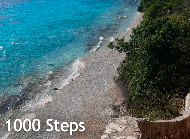 1000 steps Bonaire